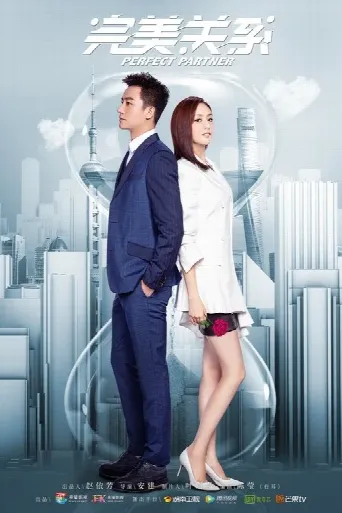 Perfect Partner